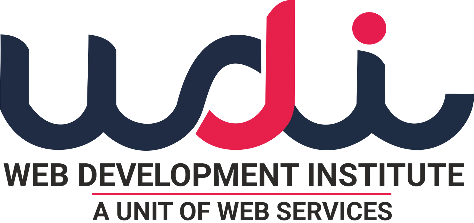 Web Development Institute